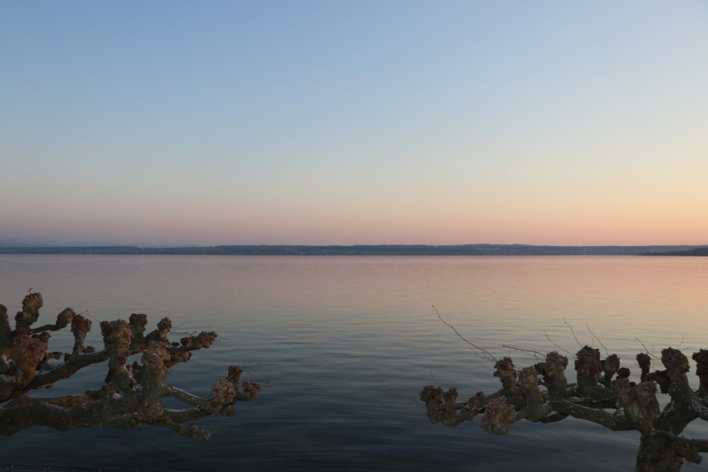 Ferienwohnung Seepromenade 5
